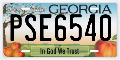GA license plate PSE6540