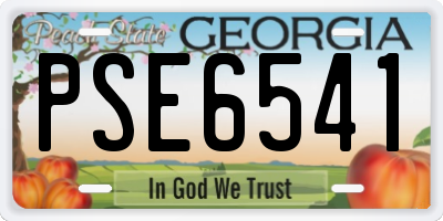 GA license plate PSE6541