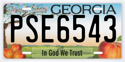 GA license plate PSE6543
