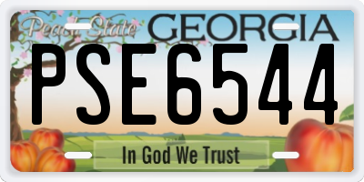 GA license plate PSE6544