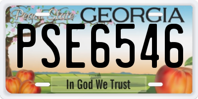 GA license plate PSE6546
