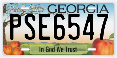 GA license plate PSE6547