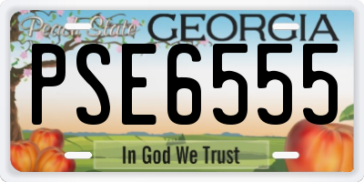 GA license plate PSE6555