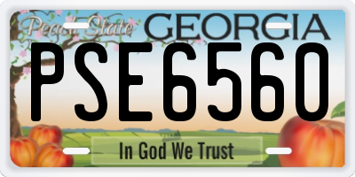 GA license plate PSE6560