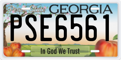 GA license plate PSE6561