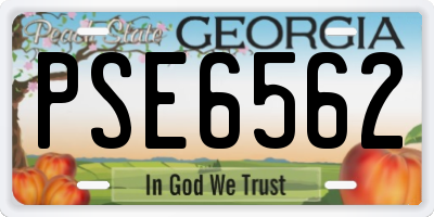 GA license plate PSE6562