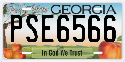GA license plate PSE6566