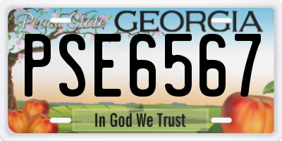 GA license plate PSE6567