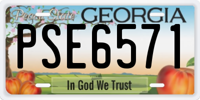 GA license plate PSE6571