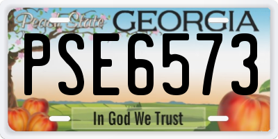 GA license plate PSE6573