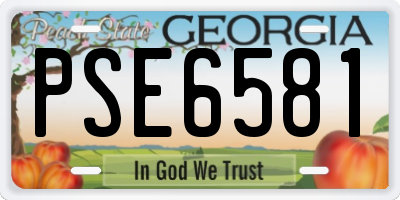 GA license plate PSE6581