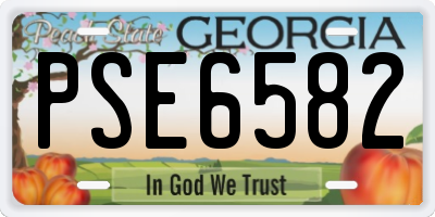 GA license plate PSE6582