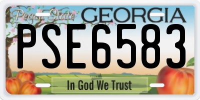 GA license plate PSE6583