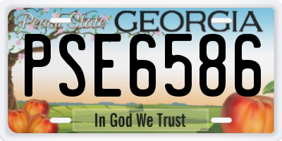 GA license plate PSE6586