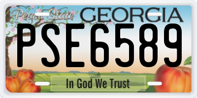 GA license plate PSE6589