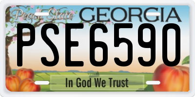 GA license plate PSE6590