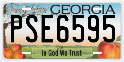 GA license plate PSE6595