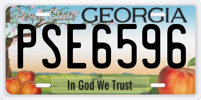 GA license plate PSE6596