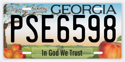 GA license plate PSE6598