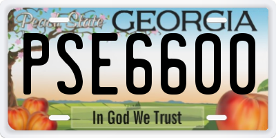 GA license plate PSE6600