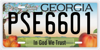 GA license plate PSE6601