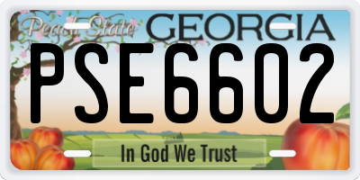 GA license plate PSE6602