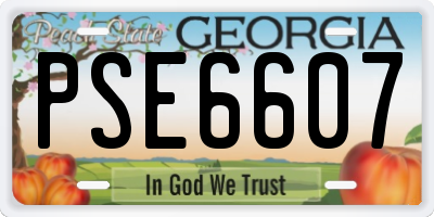 GA license plate PSE6607