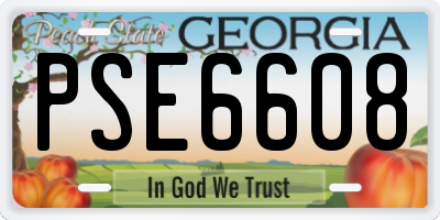 GA license plate PSE6608