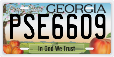 GA license plate PSE6609