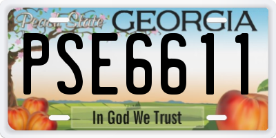 GA license plate PSE6611