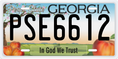 GA license plate PSE6612