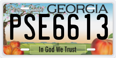 GA license plate PSE6613