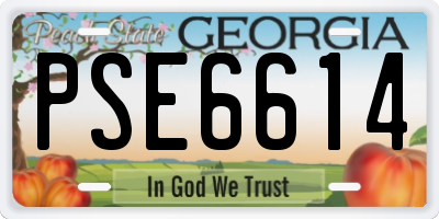 GA license plate PSE6614