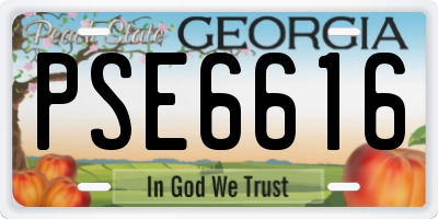 GA license plate PSE6616