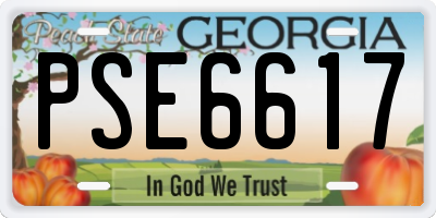 GA license plate PSE6617