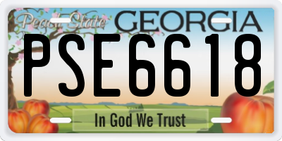 GA license plate PSE6618
