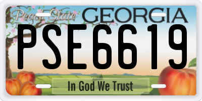 GA license plate PSE6619
