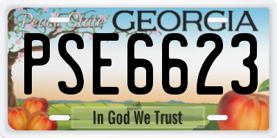 GA license plate PSE6623