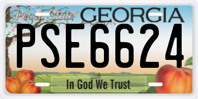 GA license plate PSE6624