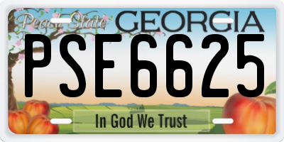 GA license plate PSE6625