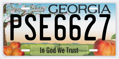 GA license plate PSE6627