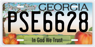 GA license plate PSE6628