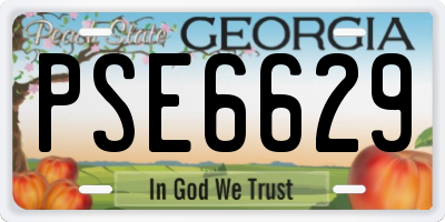 GA license plate PSE6629