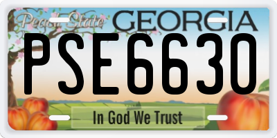 GA license plate PSE6630