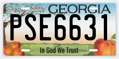 GA license plate PSE6631