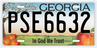 GA license plate PSE6632