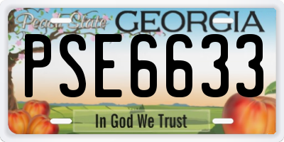 GA license plate PSE6633