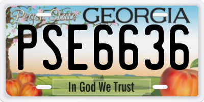 GA license plate PSE6636