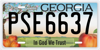GA license plate PSE6637