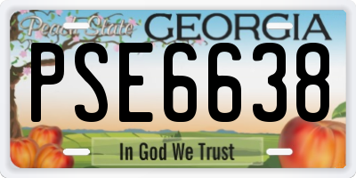 GA license plate PSE6638